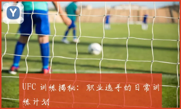 UFC 训练揭秘:职业选手的日常训练计划